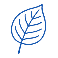 Prebiotic Fibers for Gut Health