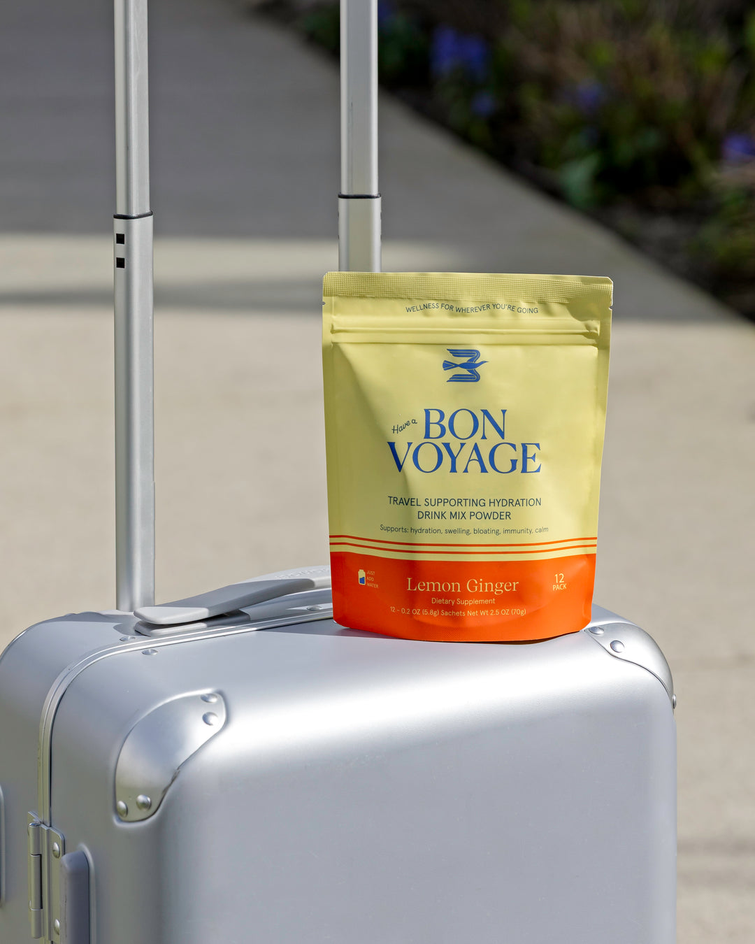 Bon Voyage
