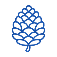 Pycnogenol for Swelling